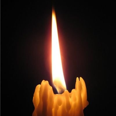 Titta87231366's profile picture. Cat loves