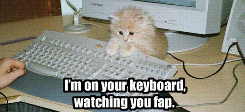 fapflop's profile picture. I'm here to watch you all FAP!