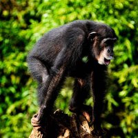 TouristBoard S.L (@touristboardsl) 's Twitter Profile