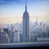 Beverly braown (@bevanimalover54) 's Twitter Profile