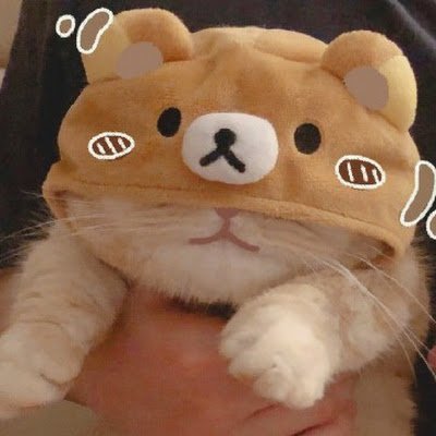 Hs191abc's profile picture. 