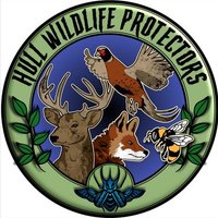 HullWildLifeProtectors(@HullWildlife) 's Twitter Profile Photo