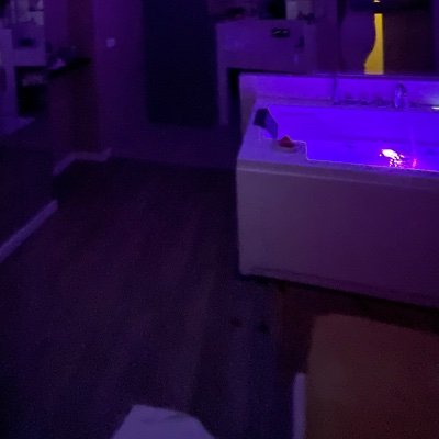 100deste_sem's profile picture. Gozando a vida 
420🍁 😇