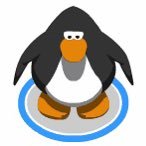 penguin 🏳️‍🌈/🏳️‍⚧️さんのプロフィール画像