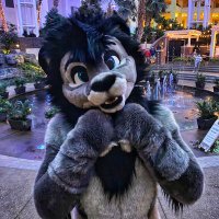 Anari (@anari_lion) 's Twitter Profile Photo Anari (@anari_lion) 's Twitter Profile Photo