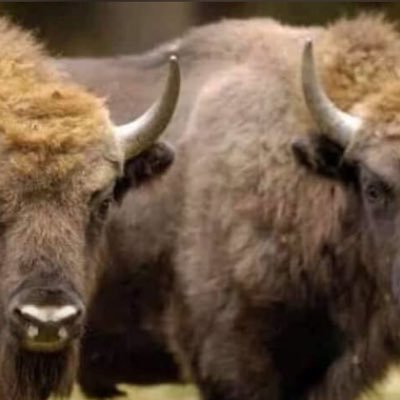 3va_ratna's profile picture. Silent treatment