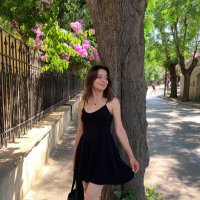 Demet (@demetavil) 's Twitter Profile