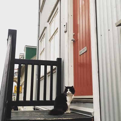 chat🐈‍⬛⋆♪ .*さんのプロフィール画像