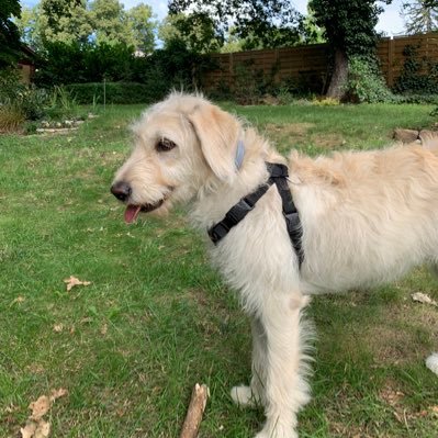 ray_designinf's profile picture. Design