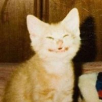 dudu θεε π«‘ IA (@duiduidudu) 's Twitter Profile