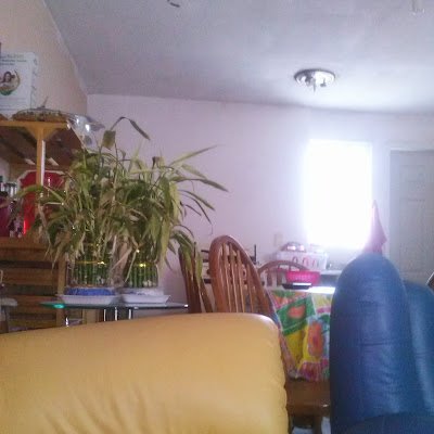 RulolabRulo's profile picture. 