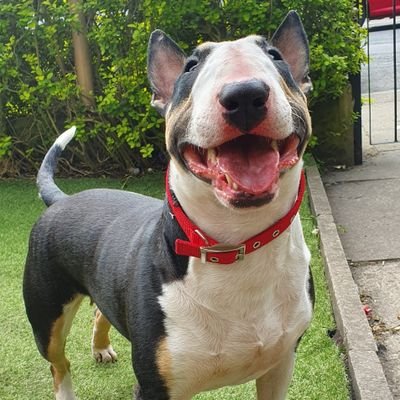 Wooller82's profile picture. 