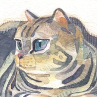 정하 / HA (@hzzzha) 's Twitter Profile