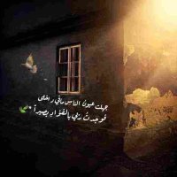 Memo Ibrahim🕊 (@memoibr999) 's Twitter Profile
