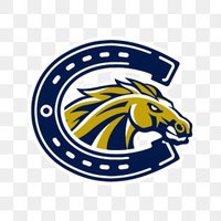 Casteel High NCAA (@casteelncaa) 's Twitter Profile