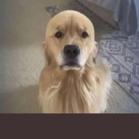 Martins Jacaré (@martinscaliburn) 's Twitter Profile Photo Martins Jacaré (@martinscaliburn) 's Twitter Profile Photo