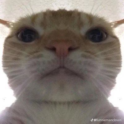 ToughXO's profile picture. I like to drink water