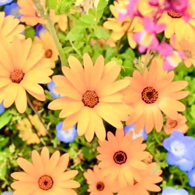 10代息子3人の母|子育て備忘録ひとりごと|自分の考えを押しつけるつもりはありません。ただ一人の備忘録です|兄弟それぞれ3年間不登校→現在登校中|色々あったけど結局変わったのは子どもではなく私だった|いつも温かいリプをありがとうございます|2022.7.24備忘録開始