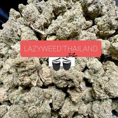 Th6Weed's profile picture. Exotics, Top shelf weed from thailand 💚 4Smoker 🔞 
ดอกโอจีคุณภาพ มีราคาส่ง แอดไลน์ 📩
มีบริการส่ง ตจว 1 วันถึง เครดิตแน่น 💪🏻
Line ID : https://t.co/hBWt825F34