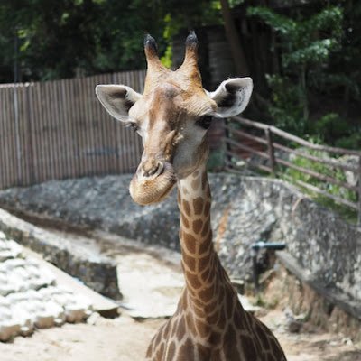 saraleeS10's profile picture. 