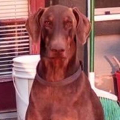 EmaGodNod's profile picture. Faith! I believe there are more good people than bad. God! United we must be or divided we all will fall. Nod! In the end God Wins!