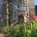 PS315LabSchool (@ps315labschool) Twitter profile photo PS315LabSchool (@ps315labschool) Twitter profile photo