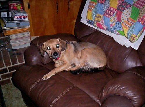 TiffanyHoefer's profile picture. 