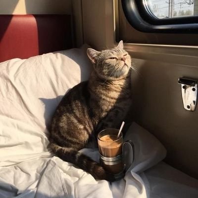 Allen49973891's profile picture. Dreams are one of those things that keep you going and happy.