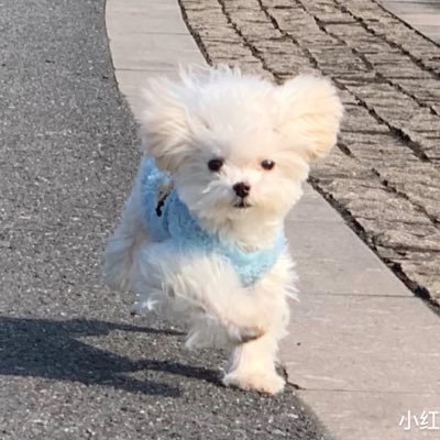 KunLww's profile picture. 