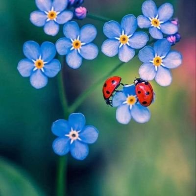 delfina61679403's profile picture. The best revenge,no revenge.just move on,smile and be happy 🤣