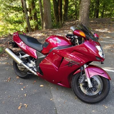 msk20190501's profile picture. 赤黒鳥乗りです