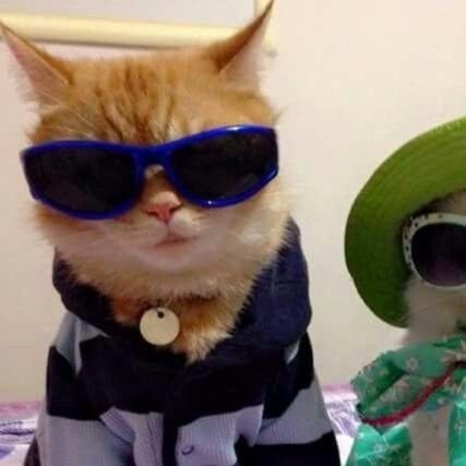 Arstn_'s profile picture. ♊