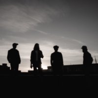 Hearing Trees (@hearingtrees) 's Twitter Profile