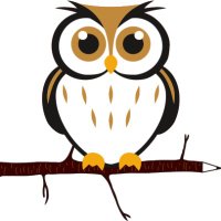 The Wise Owl(@TheWiseOwlArt1) 's Twitter Profile Photo