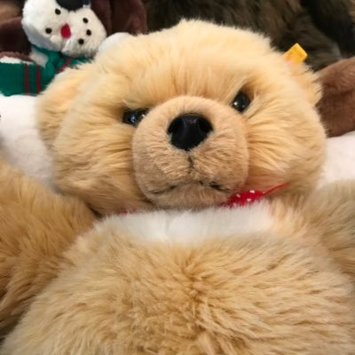 thelost_avocado's profile picture. Avvocato dell’astro. Aspirante super eroe.