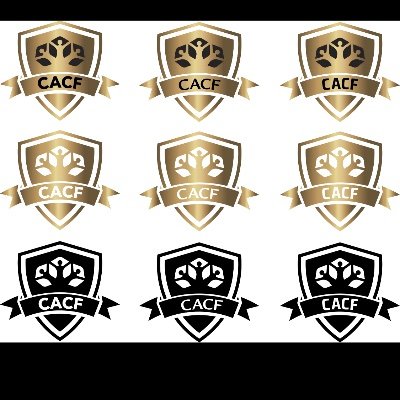 CACF60903458's profile picture. Crimes Against Children Foundation is a 501c3 that is non partition organization. We are sworn to protect families and children.