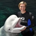 Lauren Jarrell - @laurenjatl - Twitter