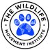 The Wildlife Movement Institute (@wildlifemove) Twitter profile photo The Wildlife Movement Institute (@wildlifemove) Twitter profile photo