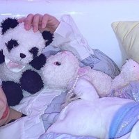 さらさ (@sqlqsq) 's Twitter Profile
