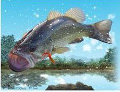 ArlingtonBass's profile picture. This pioneering bass club is the oldest in the State of Texas with roots back to 1960. Located in Arlington, Texas, central to the Dallas-Fort Worth metroplex.