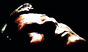 jrseti's profile picture. I ran the observing program for The SETI Institute at the Allen Telescope Array. I moved on to other things in Sept 2019. My 11 years there was a blast!