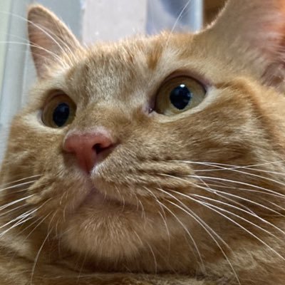 てつこ2さんのプロフィール画像