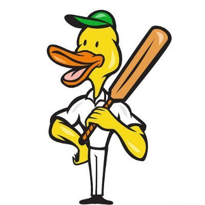 DuckInCricket's profile picture. 