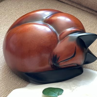 Veggie 🌿 🏴🌍🇪🇺 Wee Felix was a 17year old rescue cat and he lost an eye when he was a kitten. He sadly went OTRB 18 Sep 2022 #Pigoneer 🐷
