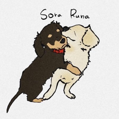 runa_sora_1216's profile picture. チワックスのルナとソラです♪ 日常写真を記録として残していきますので、よかったらフォローしてください〜🐶 動画はYouTubeに上げてるので良かったらみてね♪♪ RUNA/ルナ（女の子🐶） 2021.09.15生まれ SORA/ソラ（男の子🐶） 2022.03.11生まれ