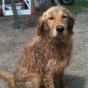 Sarah Biggers - @violetcamo - Twitter