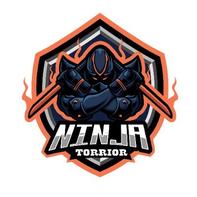 The Ninja Terrior conceals unique, randomized Ninjas as collectible NFTs on the Solana blockchain. We are still working to revitalize the Ninjas