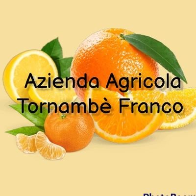 AzAgrTornFranco Profile Picture