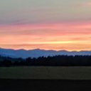 Patty Schulz - @PattySchulz5 - Twitter