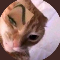 tiana (@teeyawnuhh) 's Twitter Profile
